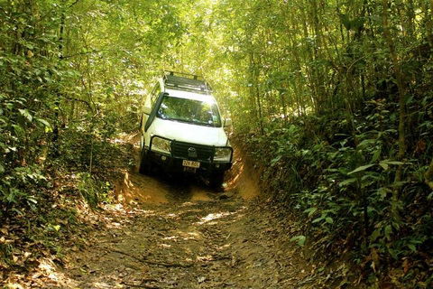 Barron Gorge And Kuranda National Park Half Day Rainforest And Waterfall 4WD Tour From Cairns - Accommodation Brisbane 2