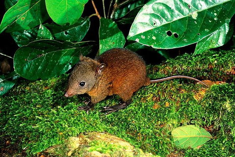 3-Day Small-Group Tour Of North Queensland With Pick Up - Accommodation Brisbane 0