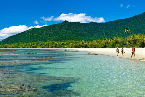 Private Daintree National Park Day Tour From Cairns Including Cape Tribulation And Mossman Gorge - Accommodation Brisbane 0