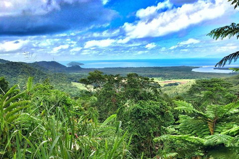Private Daintree National Park Day Tour From Cairns Including Cape Tribulation And Mossman Gorge - Accommodation Brisbane 2