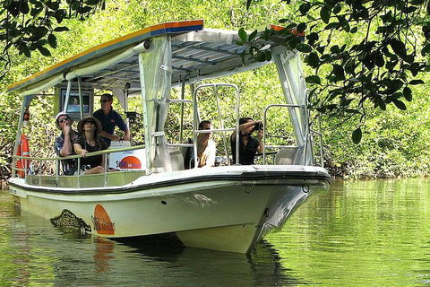 Private Daintree National Park Day Tour From Cairns Including Cape Tribulation And Mossman Gorge - Accommodation Brisbane 5