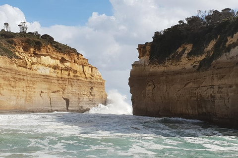 12 Apostles Tour From Warrnambool - Accommodation Brisbane 2