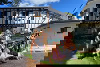 Mt Tamborine ScenicRim Deluxe Wine Tasting and Sightseeeing Tour, Brisbane