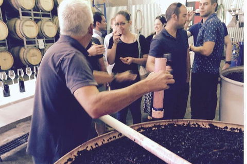 Luxury Private Mclaren Vale Wine Tour - Accommodation Brisbane 4