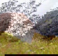 3-Day Cradle Mountain Photography Workshop - Accommodation Brisbane