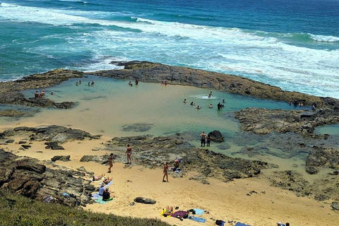 Pippies 3 Days 2 Nights Fraser Island Tour - Accommodation Brisbane 5