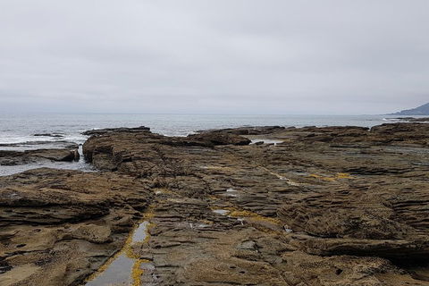 Luxury Private Great Ocean Road Tour Up To 11 People - Entire Vehicle - Accommodation Brisbane 1