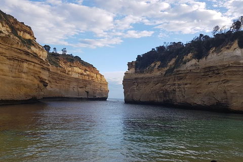 Luxury Private Great Ocean Road Tour Up To 11 People - Entire Vehicle - Accommodation Brisbane 2