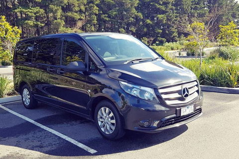 Luxury Private Great Ocean Road Tour Up To 11 People - Entire Vehicle - Accommodation Brisbane 3