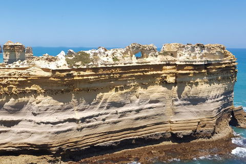 Luxury Private Great Ocean Road Tour Up To 11 People - Entire Vehicle - Accommodation Brisbane 4