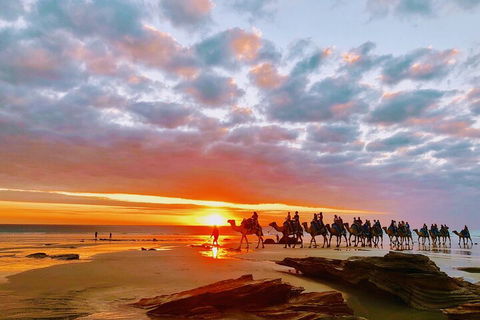 1 Hour Broome Sunset Camel Tour - Accommodation Brisbane 0