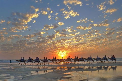 1 Hour Broome Sunset Camel Tour - Accommodation Brisbane 1