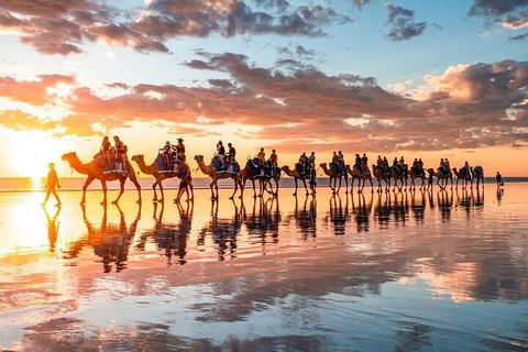 1 Hour Broome Sunset Camel Tour - Accommodation Brisbane 2