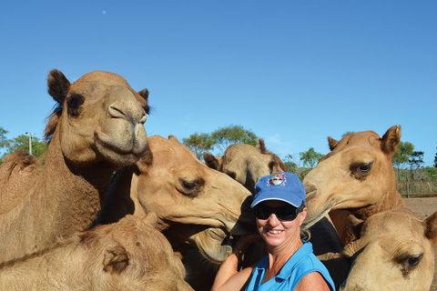 1 Hour Broome Sunset Camel Tour - Accommodation Brisbane 3