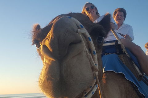 1 Hour Broome Sunset Camel Tour - Accommodation Brisbane 4