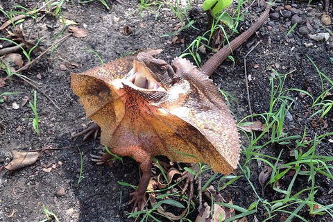 Litchfield National Park And Jumping Crocodile Cruise - Accommodation Brisbane 1