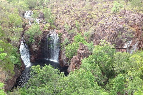 Litchfield National Park And Jumping Crocodile Cruise - Accommodation Brisbane 4