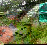 Port Arthur Richmond and Tasman Peninsula Day Trip from Hobart - Accommodation Brisbane