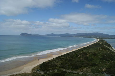7-Day Best Of Tasmania Adventure Experience From Hobart (flexible Ticket) - Accommodation Brisbane 2