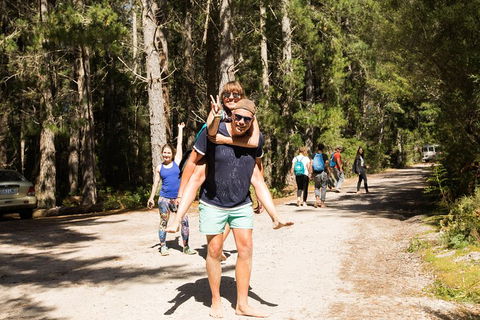 7-Day Best Of Tasmania Adventure Experience From Hobart (flexible Ticket) - Accommodation Brisbane 5