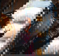 One-Way East Coaster - Accommodation Brisbane