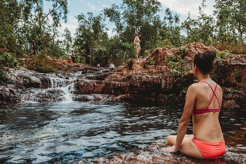 Litchfield National Park Day Tour From Darwin With Waterfalls And Buley Rockhole - Accommodation Brisbane 0