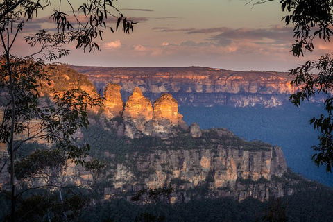 Private Blue Mountains Tour With Kangaroo And Koala Experience - Accommodation Brisbane 1