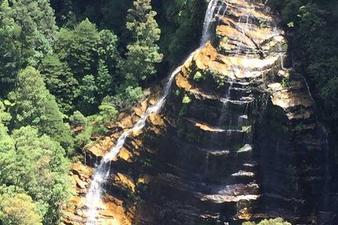 Private Blue Mountains Tour With Kangaroo And Koala Experience - Accommodation Brisbane 5