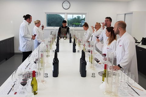 Barossa Valley Intimate Winery Tour Via Adelaide Hills By Private Limo - Accommodation Brisbane 2