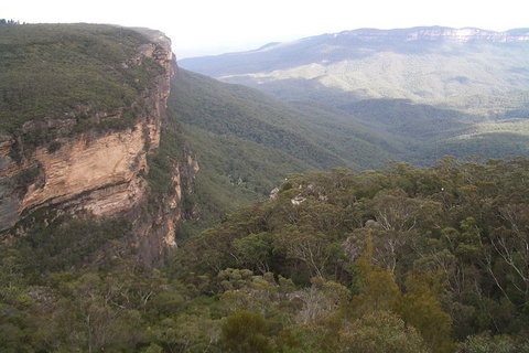Full-Day Private Blue Mountains Tour With River Cruise - Accommodation Brisbane 3