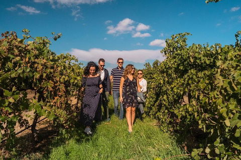 Barossa Valley Private Tour (from 2 To 11 People) - Accommodation Brisbane 0