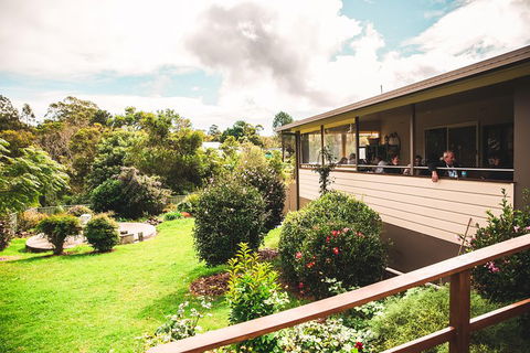 Full-day Springbrook National Park Tour From The Gold Coast - Accommodation Brisbane 2