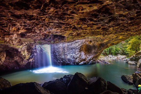 Full-day Springbrook National Park Tour From The Gold Coast - Accommodation Brisbane 3