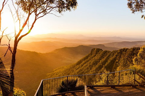 O'Reilly's & Lamington National Park Incl. Alpaca Farm + Vineyard - Accommodation Brisbane 0