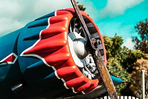 O'Reilly's & Lamington National Park Incl. Alpaca Farm + Vineyard - Accommodation Brisbane 1