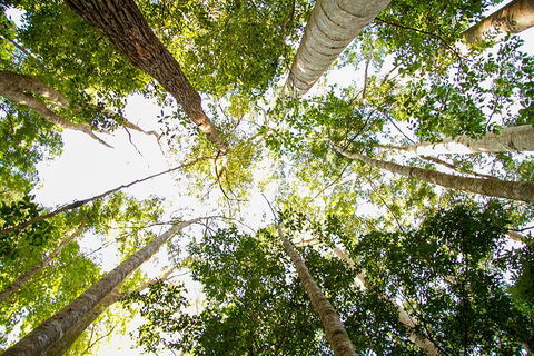 Fraser Island 4WD Tour From Noosa - Accommodation Brisbane 0