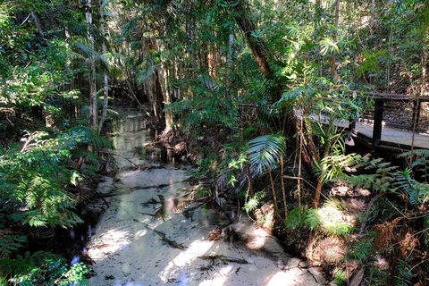 Fraser Island 4WD Tour From Rainbow Beach - Accommodation Brisbane 0