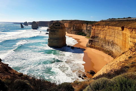 Helicopter Flight + Fine Dining Private Luxury Great Ocean Road Tour - Accommodation Brisbane 4