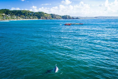 The Byron Bay Sea Kayak Tour - Accommodation Brisbane 2