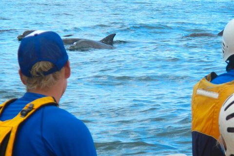 The Byron Bay Sea Kayak Tour - Accommodation Brisbane 4