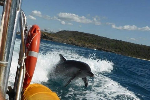 Noosa Oceanrider - Adventure Tour - Accommodation Brisbane 1