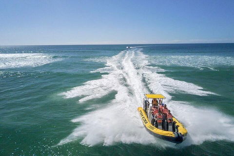 Noosa Oceanrider - Adventure Tour - Accommodation Brisbane 2