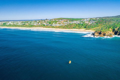 Noosa Oceanrider - Adventure Tour - Accommodation Brisbane 3