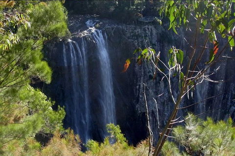 Byron Bay Hinterland Tour Including Rainforest Walk To Minyon Falls - Accommodation Brisbane 0