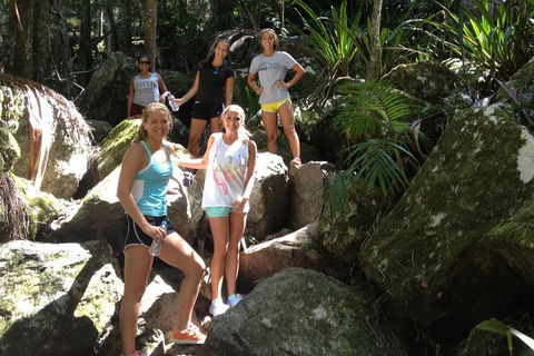 Byron Bay Hinterland Tour Including Rainforest Walk To Minyon Falls - Accommodation Brisbane 3