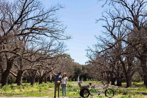 Adelaide 90-Minute Pedicab Tour: Scenic Green & River Experience - Accommodation Brisbane 1