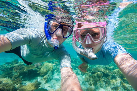 Whitehaven Beach And Hill Inlet Lookout Full-Day Snorkeling Cruise By High-Speed Catamaran - Accommodation Brisbane 2