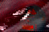 Dracula's Cabaret - Gold Coast, Brisbane