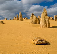 The Pinnacles Sea and Dunescapes Bush Reserve and Sunset Day Tour - Accommodation Brisbane