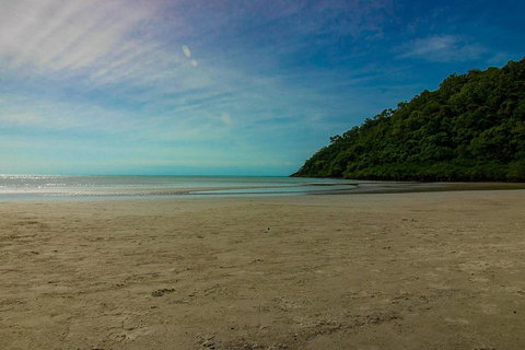 Cape Tribulation Day Tour - Accommodation Brisbane 2